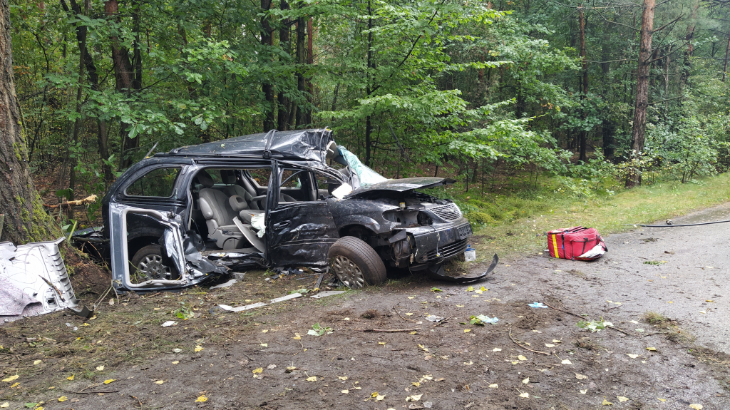 Nietrzeźwy kierowca uderzył w drzewo i uciekł z miejsca wypadku. (fot. PSP)