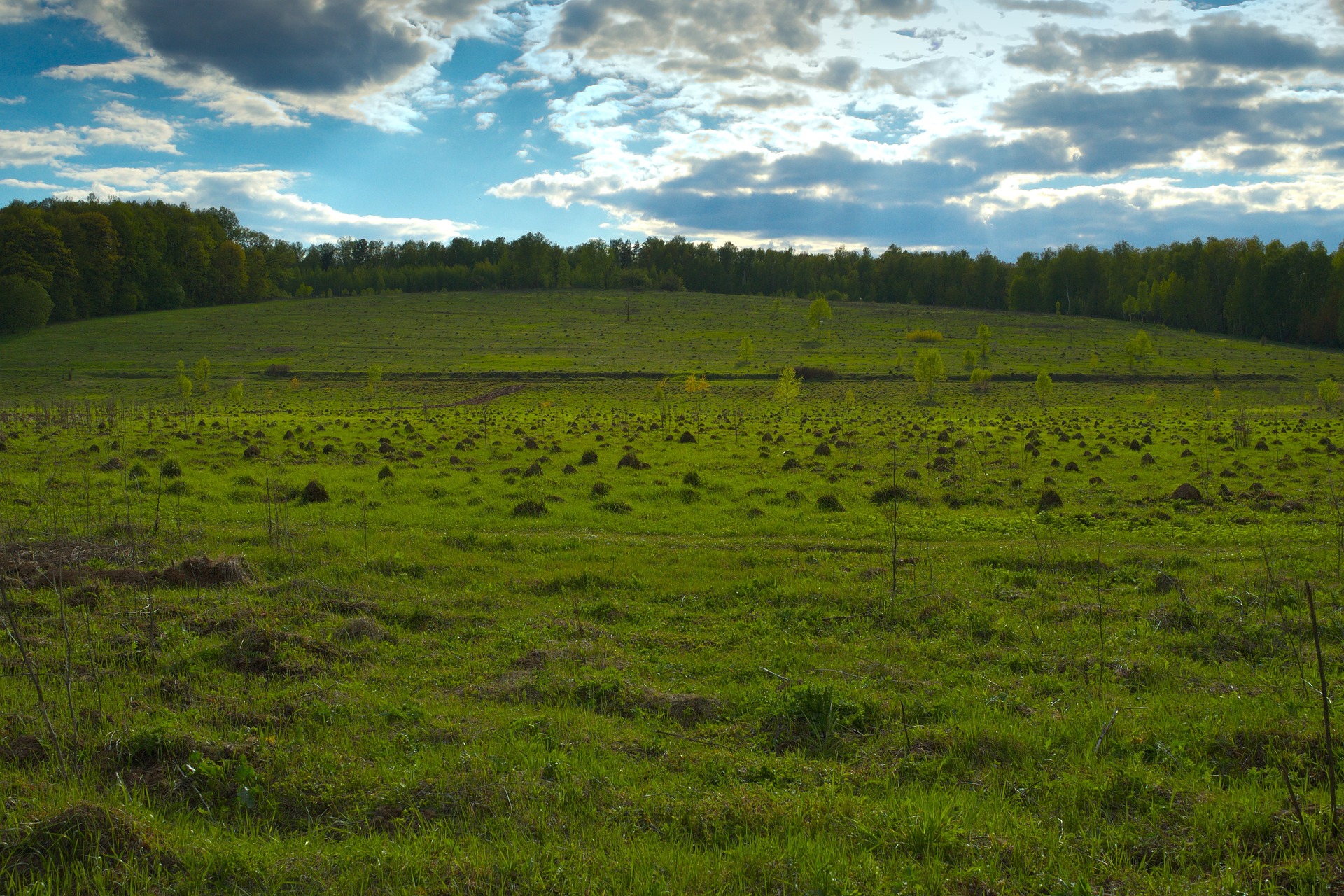 Sp r O G rki Czechowskie LublinInfo pl